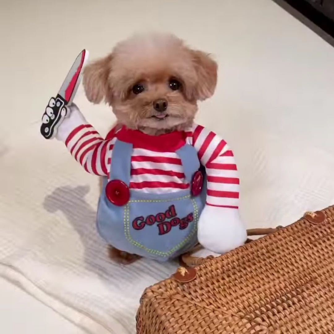 Funny Dog/Cat Halloween Costume – Pet Apparel with Knife Prop, Transforming Outfit for Small to XL pets