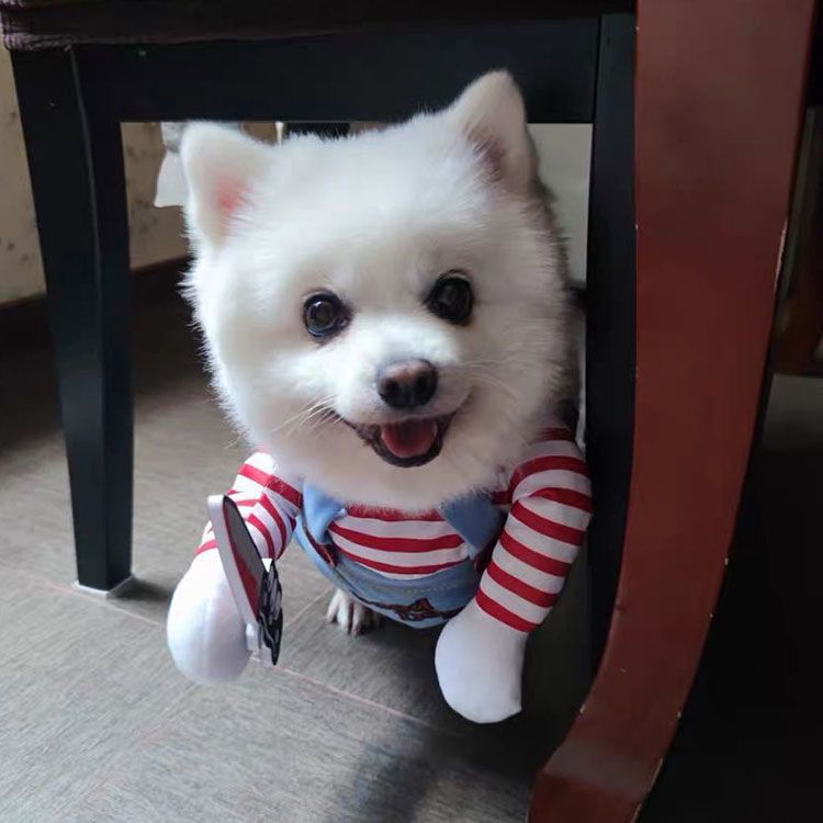 Funny Dog/Cat Halloween Costume – Pet Apparel with Knife Prop, Transforming Outfit for Small to XL pets