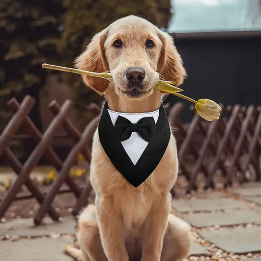 Formal Dog Bandana with Bow Tie – Tuxedo Style for Weddings, Parties & Special Moments